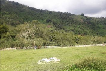 Lote de Terreno en  Lisboa, Manizales