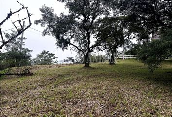 Lotes y Terrenos en  Alto El Maria, Chame