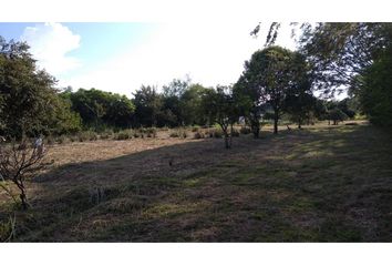 Lote de Terreno en  Colombia, Huila