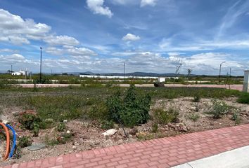 Lote de Terreno en  Carretera Querétaro-irapuato, Apaseo El Alto, Guanajuato, 38517, Mex