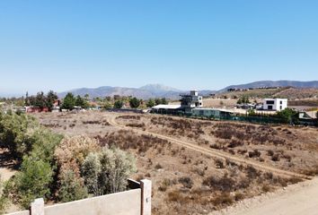 Lote de Terreno en  Guadalupe, Ensenada