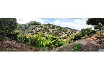 Villa-Quinta en  Maceo, Antioquia