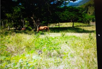 Lote de Terreno en  Salgar, Antioquia