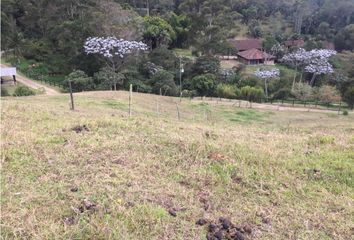 Lote de Terreno en  Rionegro Antioquía