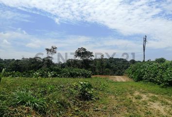 Terreno Comercial en  Pedro Vicente Maldonado