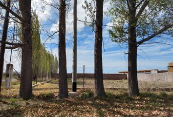 Terrenos en  Ruta Nacional 143, San Rafael, Mendoza, Arg