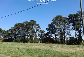 Terrenos en  Tandil, Provincia De Buenos Aires, Arg