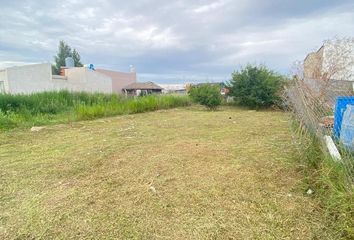 Terrenos en  Los Talas Rural, Berisso, Provincia De Buenos Aires, Arg