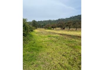 Lote de Terreno en  Valle De Bravo, Valle De Bravo