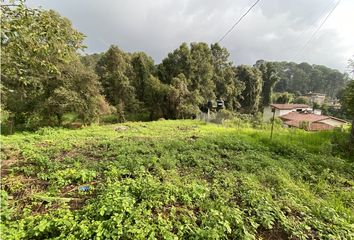 Lote de Terreno en  Santa María Ahuacatlan, Valle De Bravo