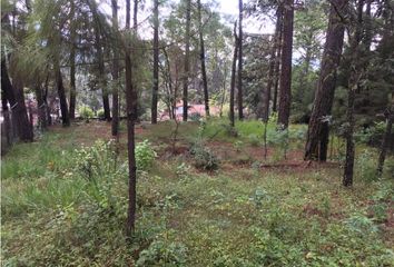 Lote de Terreno en  Avándaro, Valle De Bravo