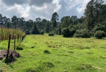 Lote de Terreno en  Avándaro, Valle De Bravo