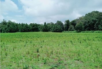 Lote de Terreno en  Amanalco, Estado De México