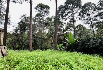 Lote de Terreno en  Avándaro, Valle De Bravo