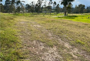 Lote de Terreno en  La Ceja, Antioquia