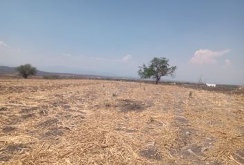 Lote de Terreno en  Pueblo Tequesquitengo, Jojutla