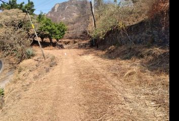 Lote de Terreno en  Hsbc, Santo Domingo, Tepoztlán, Morelos, 62520, Mex