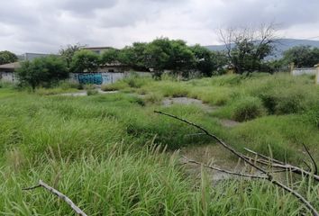 Lote de Terreno en  Los Eucaliptos, General Escobedo