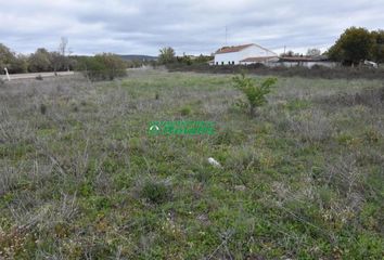 Chalet en  Ciudad Rodrigo, Salamanca Provincia