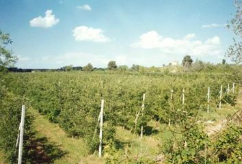 Terreno en  Castelldans, Lleida Provincia