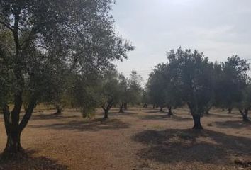 Terreno en  La Galera, Tarragona Provincia