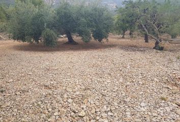 Terreno en  Alcanar, Tarragona Provincia