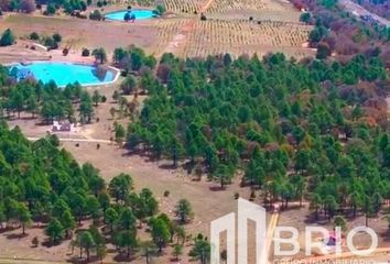 Lote de Terreno en  Guadalupe Victoria, Durango