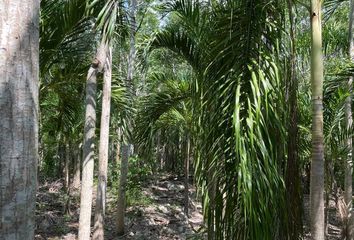 Rancho en  Carretera Ramal Itzincab, Itzincab, Tecoh, Yucatán, 97822, Mex