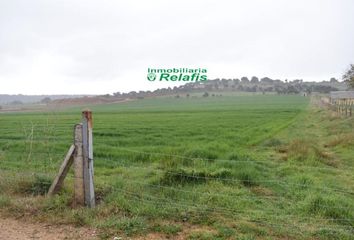 Terreno en  Ciudad Rodrigo, Salamanca Provincia