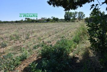 Chalet en  Abusejo, Salamanca Provincia