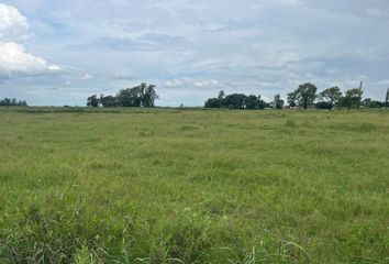 Terrenos en  Venado Tuerto, Santa Fe