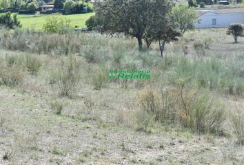 Chalet en  Herguijuela De Ciudad Rodrigo, Salamanca Provincia