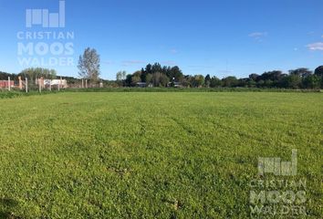 Terrenos en  El Campo - Fincas Exclusivas Cardales, Partido De Campana