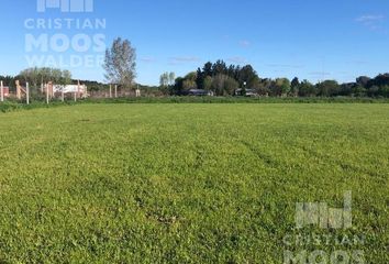 Terrenos en  El Campo - Fincas Exclusivas Cardales, Partido De Campana