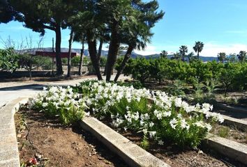 Terreno en  Beniarbeig, Alicante Provincia