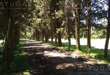 Terrenos en  Tortugas, Partido Del Pilar