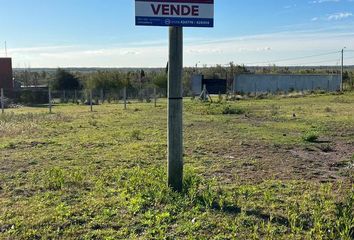 Terrenos en  San Pedro, Partido De San Pedro