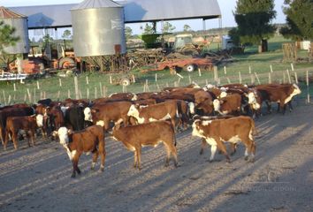 Terrenos en  Tostado, Santa Fe