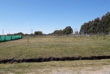 Terrenos en  Villa Elvira, Partido De La Plata