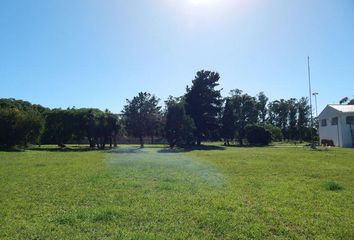 Terrenos en  Alem, Mar Del Plata