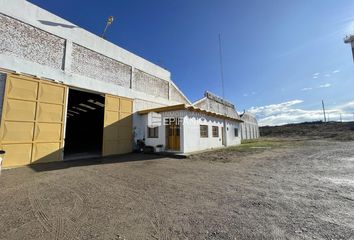 Galpónes/Bodegas en  General Roca, Río Negro