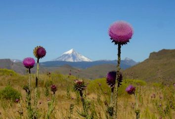 Terrenos en  Lácar, Neuquen