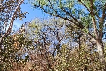 Terrenos en  Merlo, San Luis