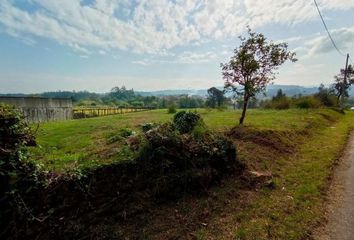 Terreno en  Ribadumia (santa Baia), Pontevedra Provincia