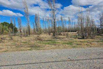 Terrenos en  Valentina Sur Urbana, Neuquén