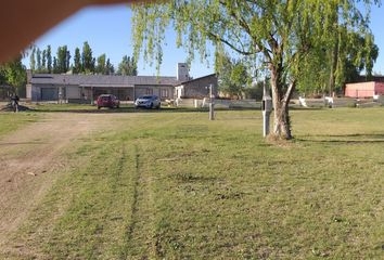 Terrenos en  Valentina Sur Rural, Neuquén