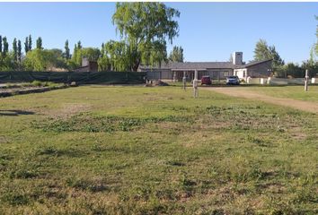 Terrenos en  Valentina Sur Rural, Neuquén