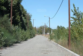 Terrenos en  Plottier, Neuquen