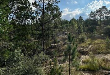 Terrenos en  San Clemente, Córdoba