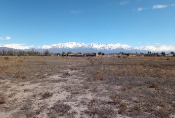 Terrenos en  San Carlos, Mendoza